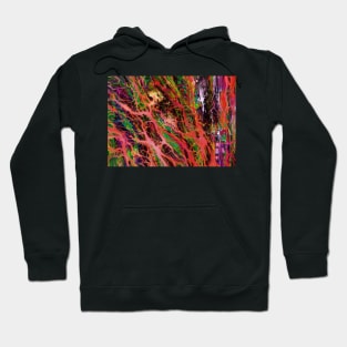 Liquidity 2 Hoodie